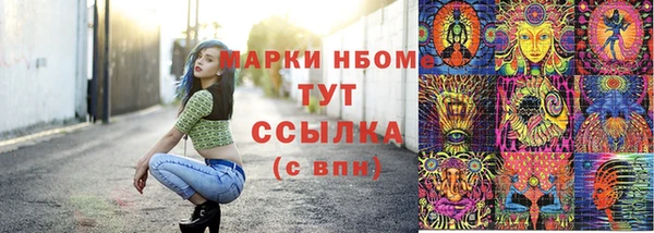 сатива Алзамай
