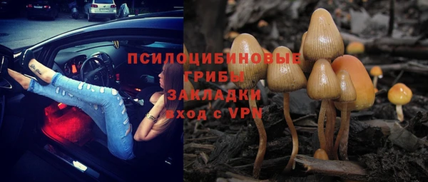 прущая мука Коряжма