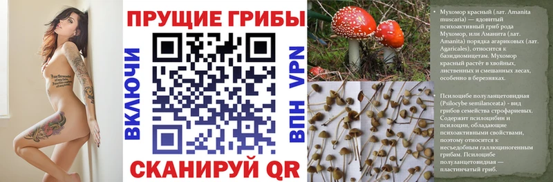 где можно купить наркотик  Татарск  Галлюциногенные грибы прущие грибы 
